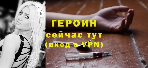 шишки Надым