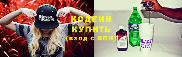 шишки Надым