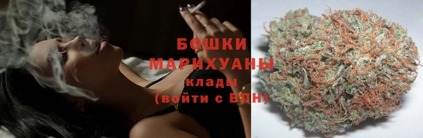 шишки Надым