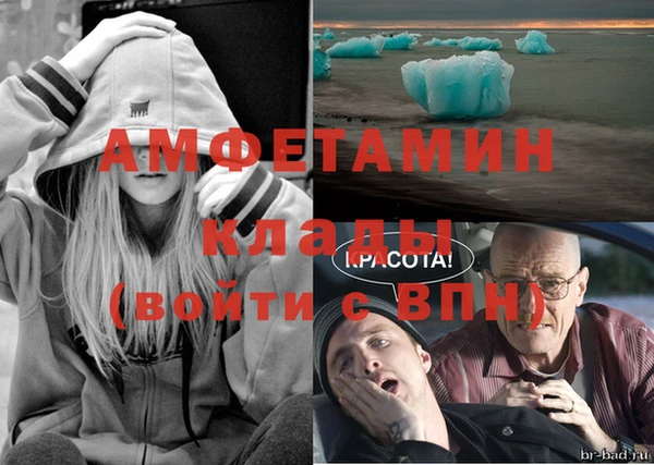шишки Надым
