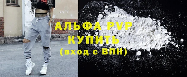 шишки Надым