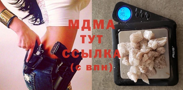 шишки Надым
