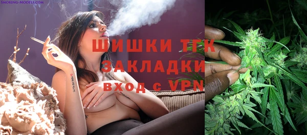 шишки Надым