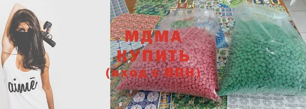 шишки Надым